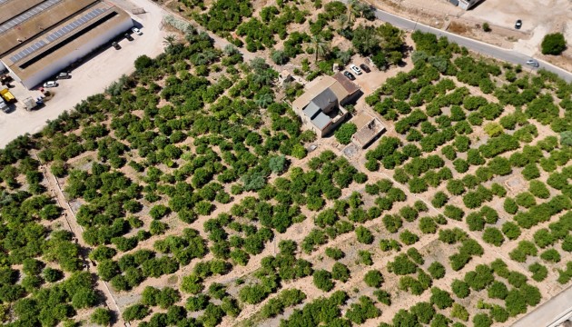 Sale - Finca Country Property - Orihuela