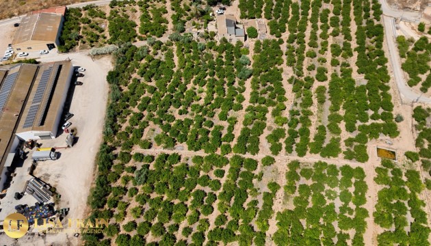 Sale - Finca Country Property - Orihuela