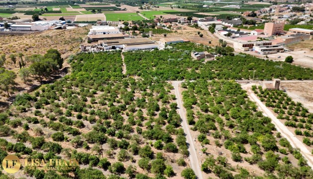 Sale - Finca Country Property - Orihuela