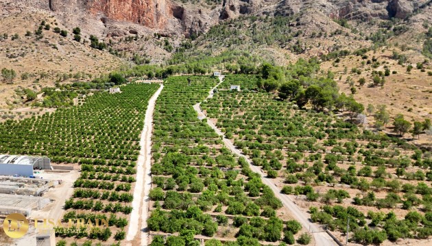 Sale - Finca Country Property - Orihuela