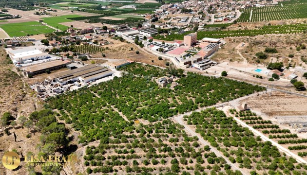 Sale - Finca Country Property - Orihuela
