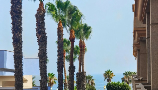 Revente - Appartement - Cabo Roig